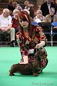 Crufts2011_2 1205